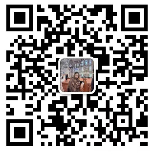 WeChat:0086  13867809021